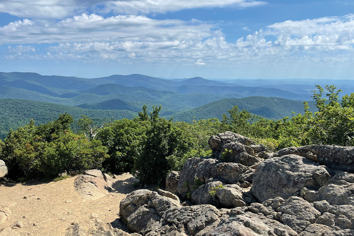 View from top of Mary's Rock