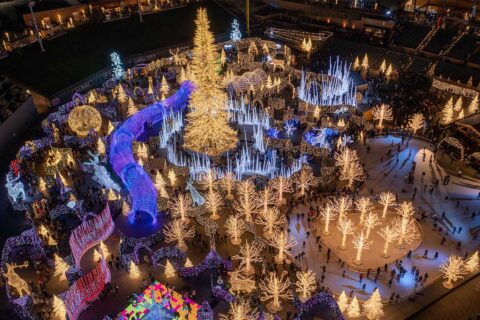 enchant christmas light maze overhead