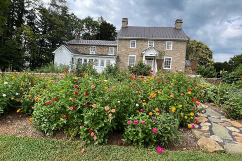 hope flower farm garden
