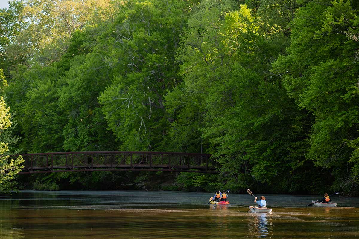 people kayaking on river