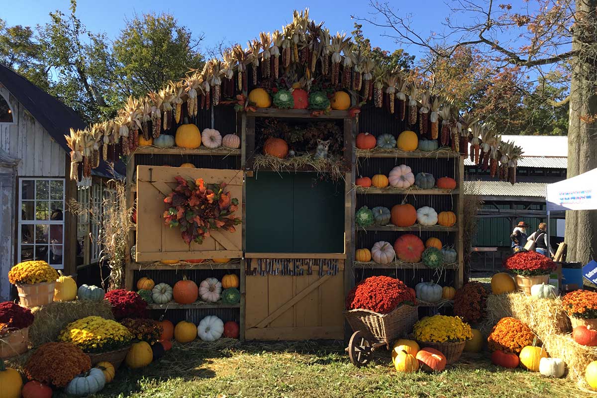 house shaped stand with different colored pumpkins