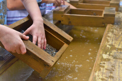 Kids looking at rocks in sieve