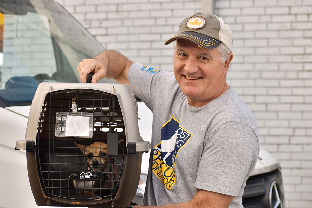 Volunteer holding small dog in animal carrier