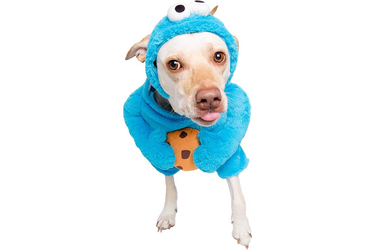 dog cookie monster costume