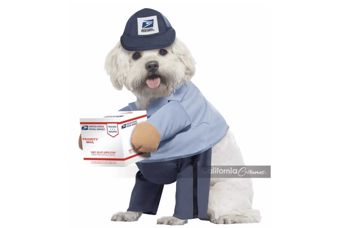 dog in mail man costume