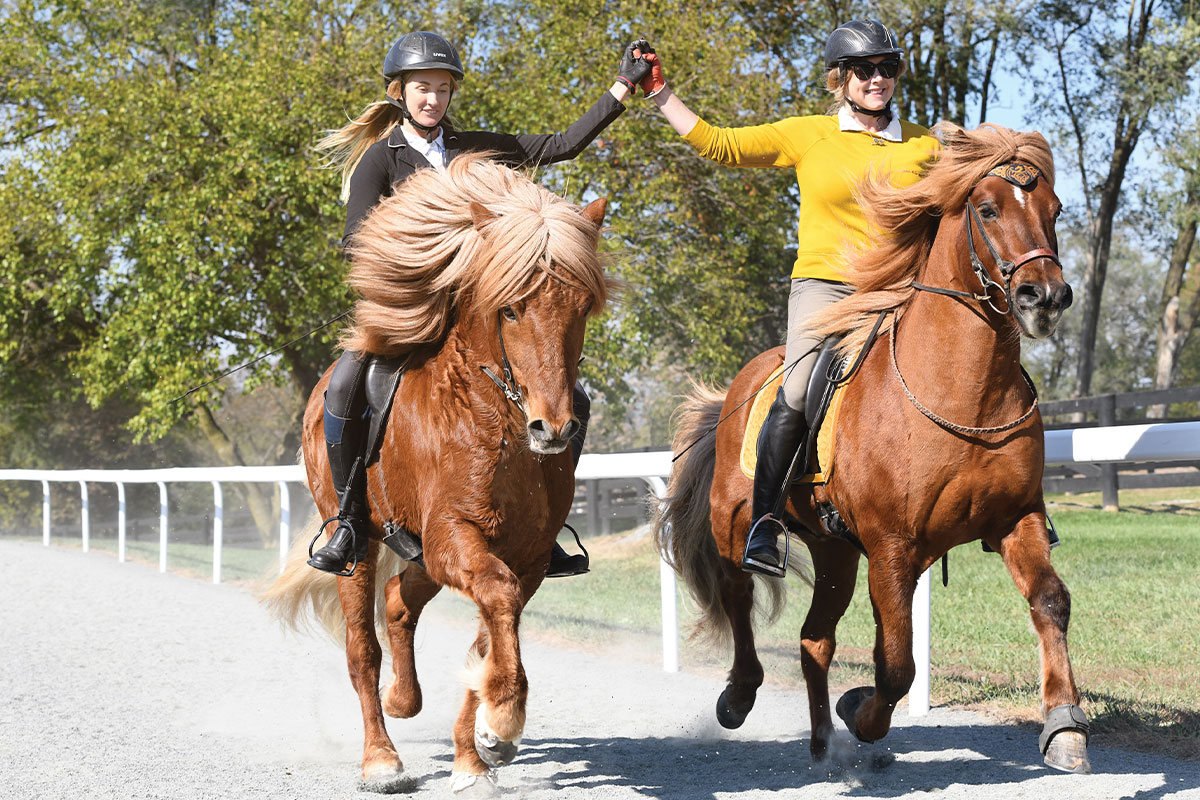 Riders on Icelandic horses