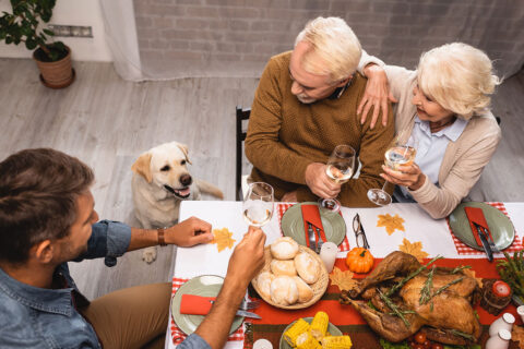 Dog sitting near Thanksgiving dinner table