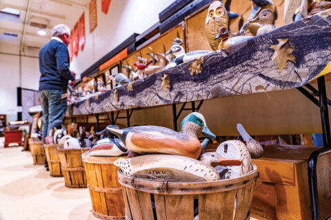 Decoys at Waterfowl Festival