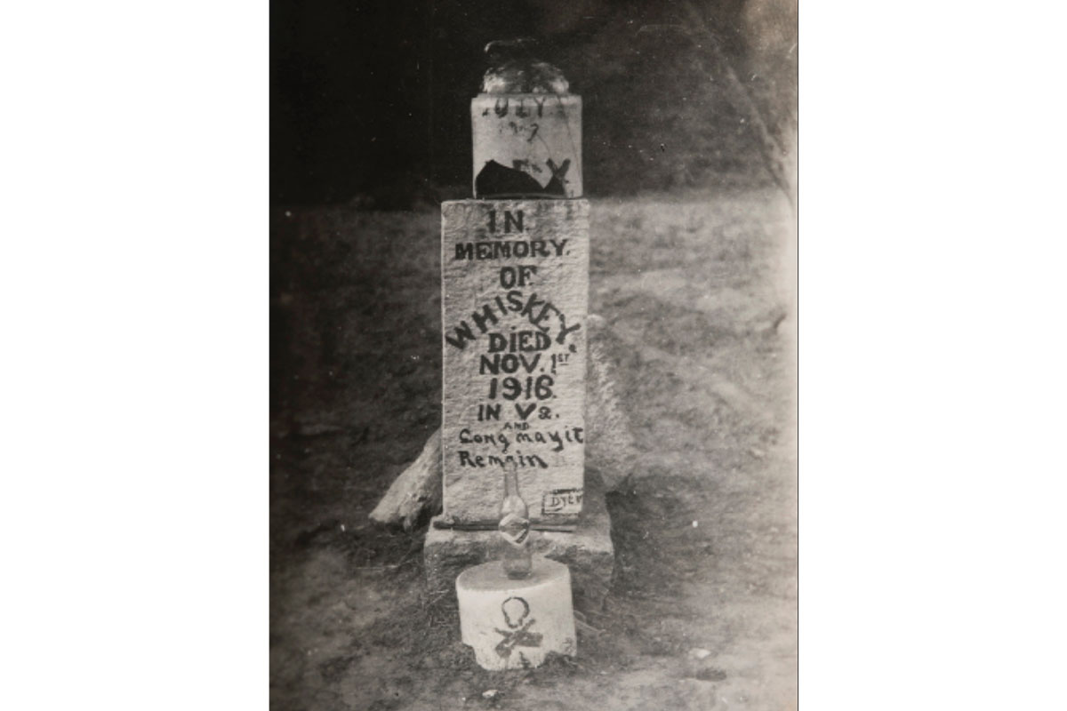 A gravestone dedicated to whiskey