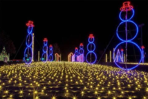 illuminate light show snowman display