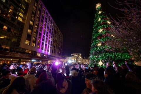tysons corner center tree lighting