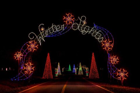 winter lights arch