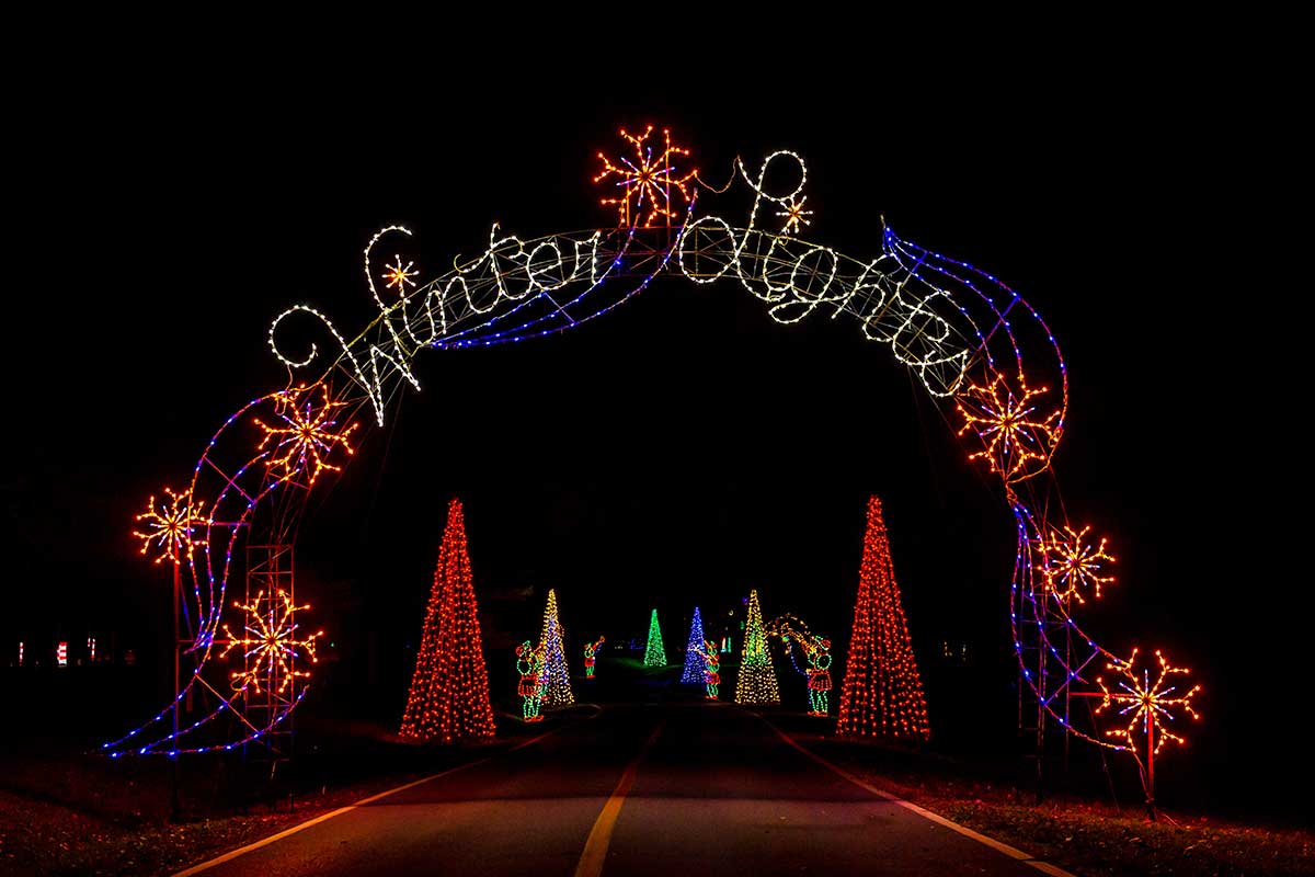 winter lights arch