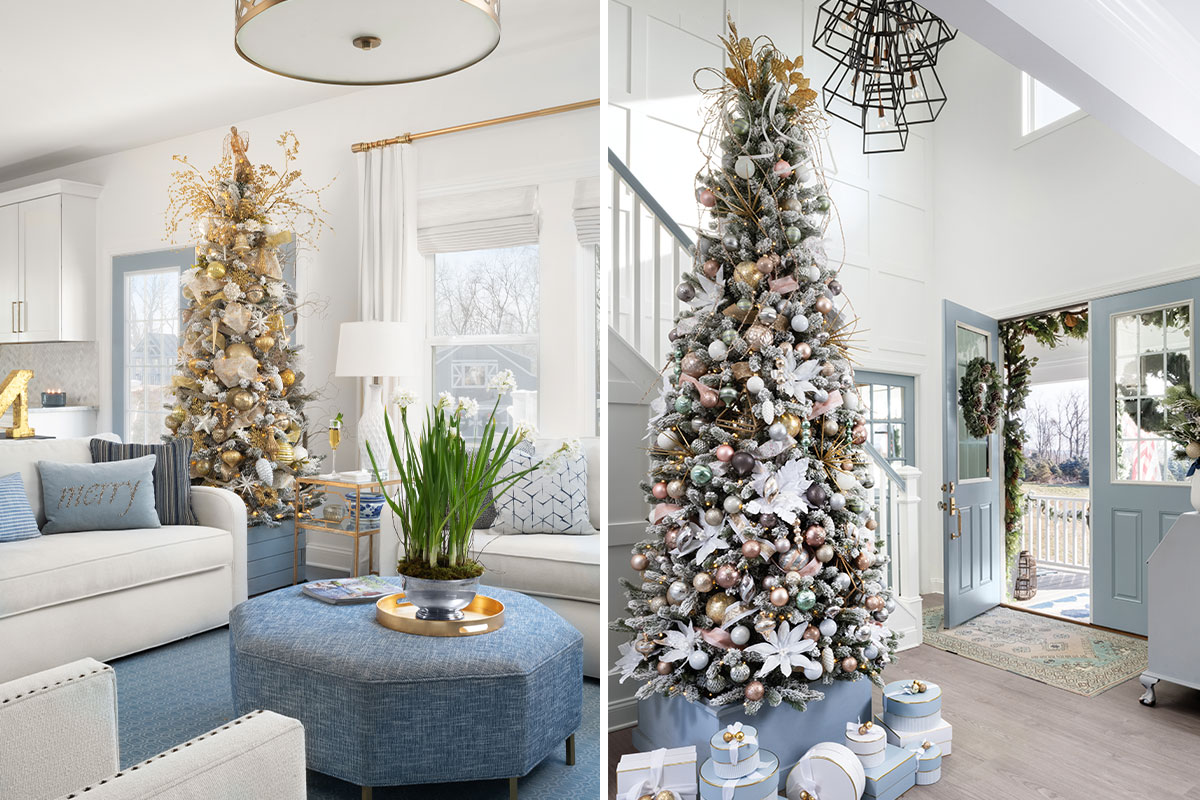 Two Christmas trees