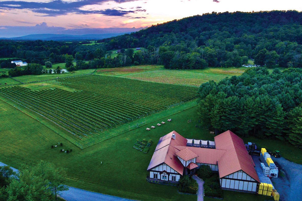 Aerial view of Walsh Family Wine