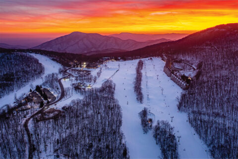 Wintergreen resort