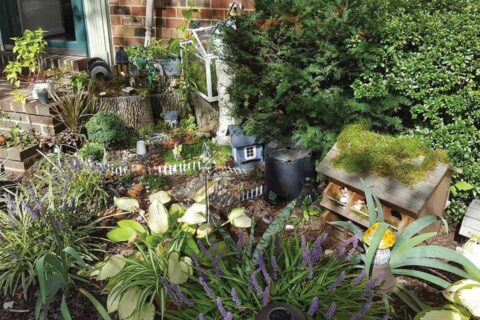 Garden from Buy Nothing Group
