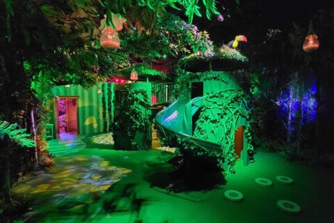 encanto x camp antonio's room with rainforest playset