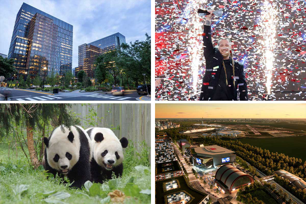 Amazon HQ2, Huntley, giant pandas, Monumental rendering