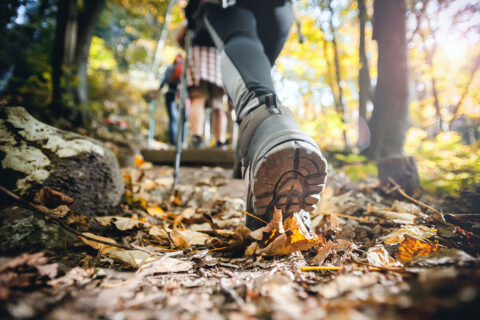 Walking through woods on a hike