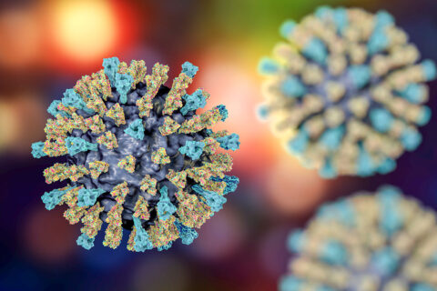 Measles virus