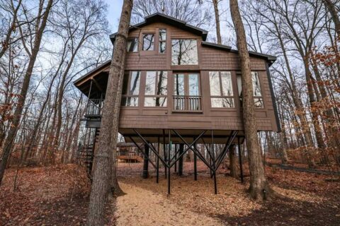 hummingsbird hideaway treehouse
