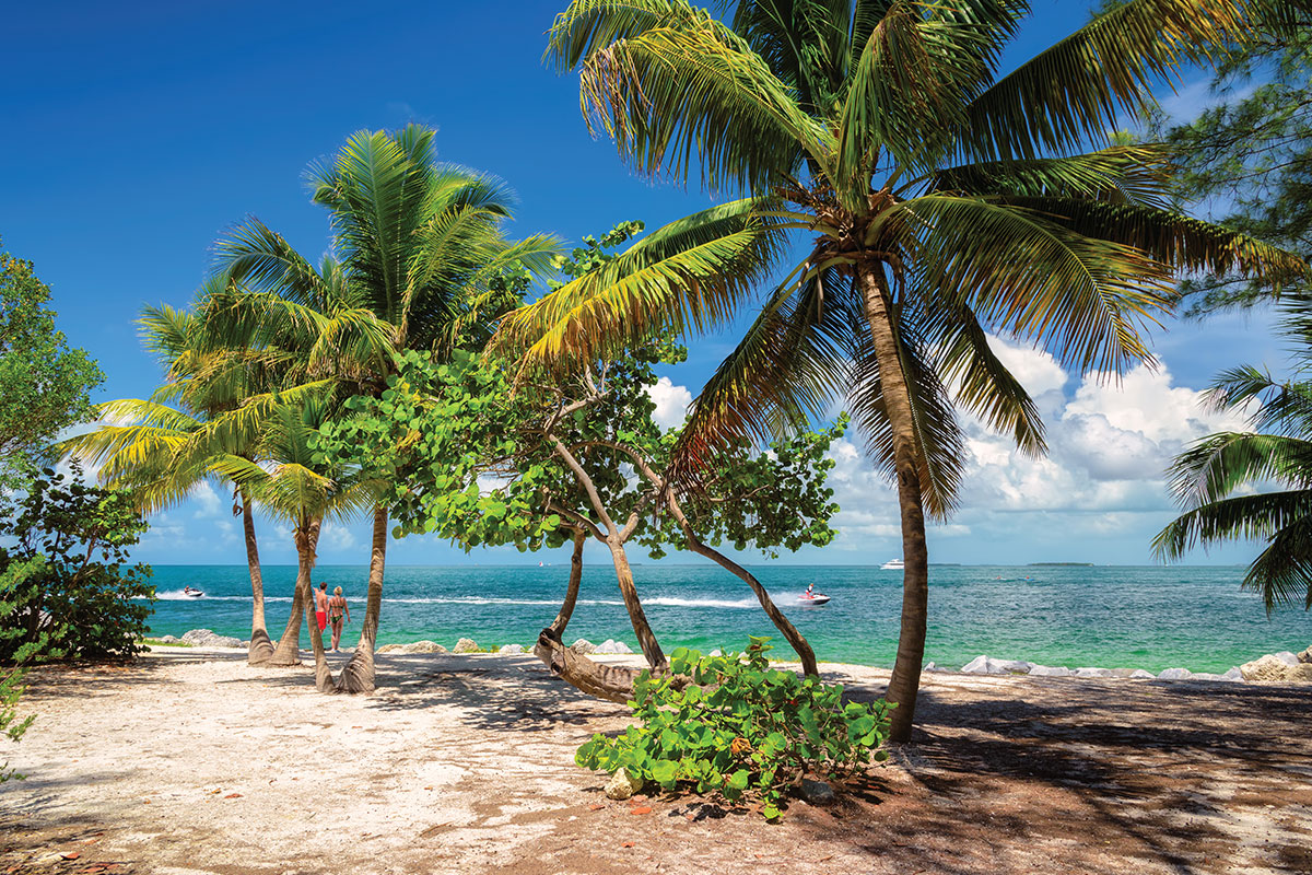 Palm trees on a beach in Key West