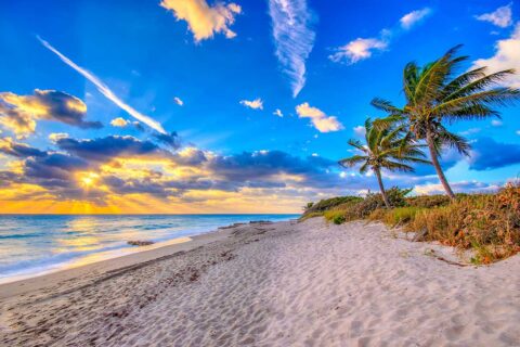 Coral Cove Park at The Palm Beaches
