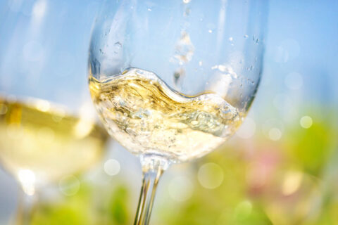 white wine in glass