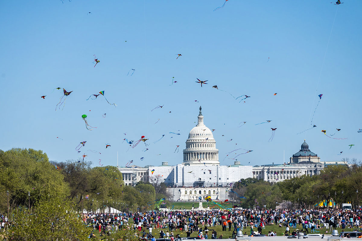 Kites flying over Capitol building