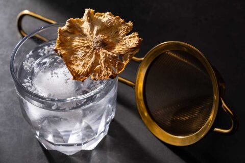 Dolce Vita drink thompson italian