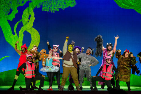 The Company of Shrek