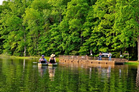 people sitting in kayaks during concert