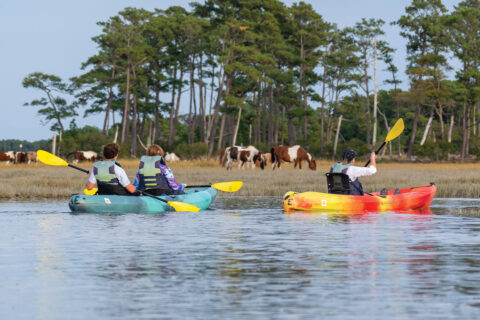 People kayaking on water trip in Chincoteague