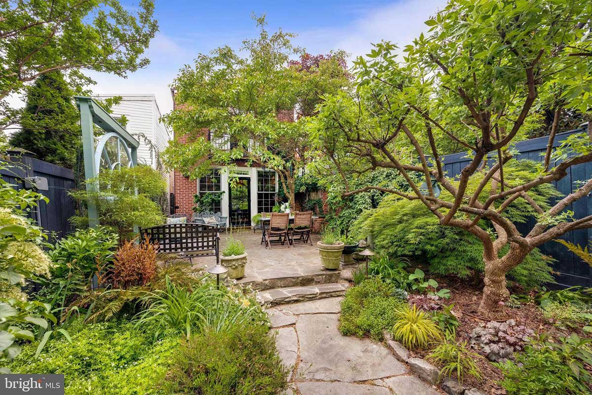 Back yard and garden