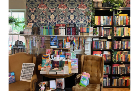 books in Birch Tree Bookstore in Leesburg