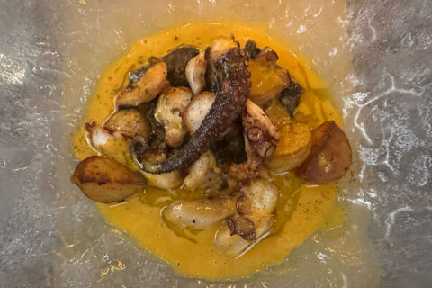 Octopus at Elyse
