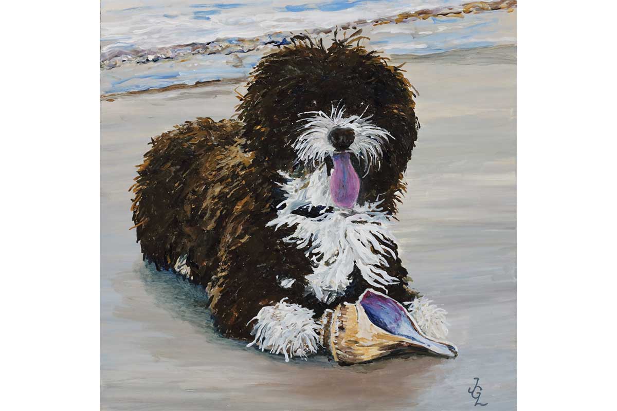 painting of bernedoodle on the beach