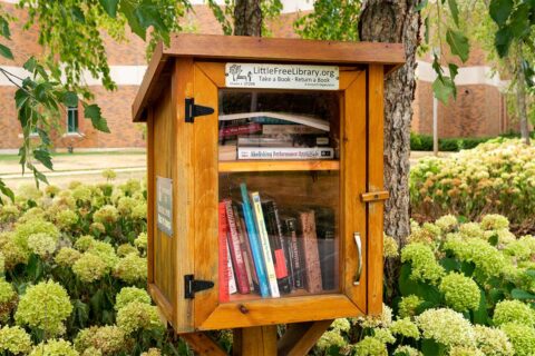 little free library box with books