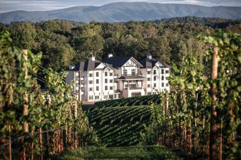 nicewonder farm & vineyards