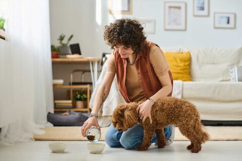 woman feeding brown dog