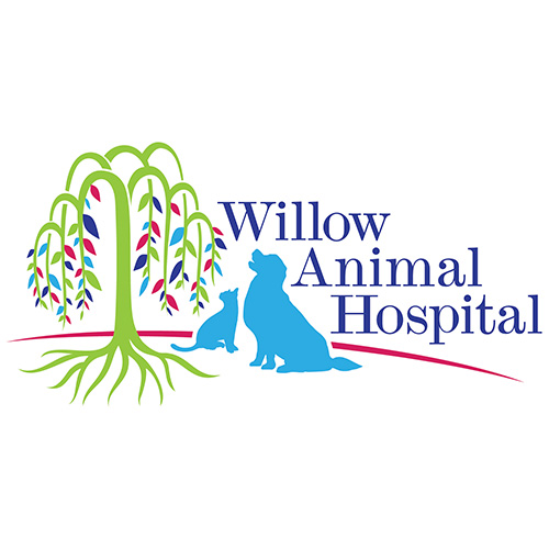 Willow Animal Hospital