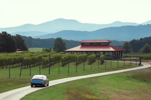 Afton Mountain Vineyards