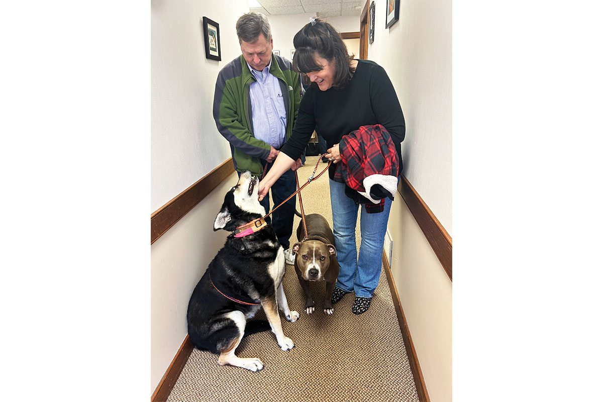 Nikita and Stormy with owners