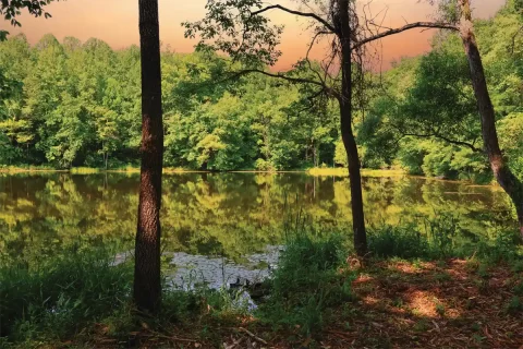 Gordon Pond, Sweet Run State Park
