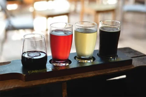 flight of wine at Notaviva Farm Brewery & Winery in Hillsboro