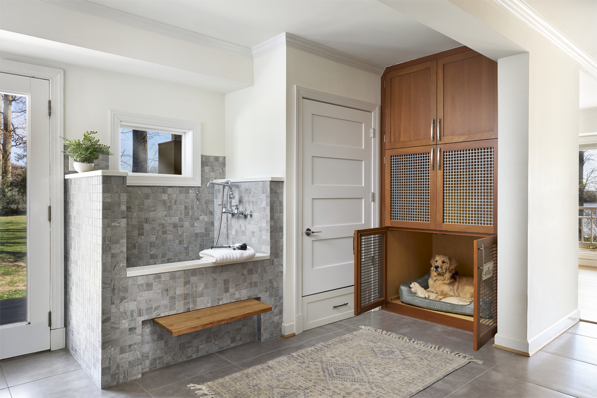 Pet Projects to Add to Your Home