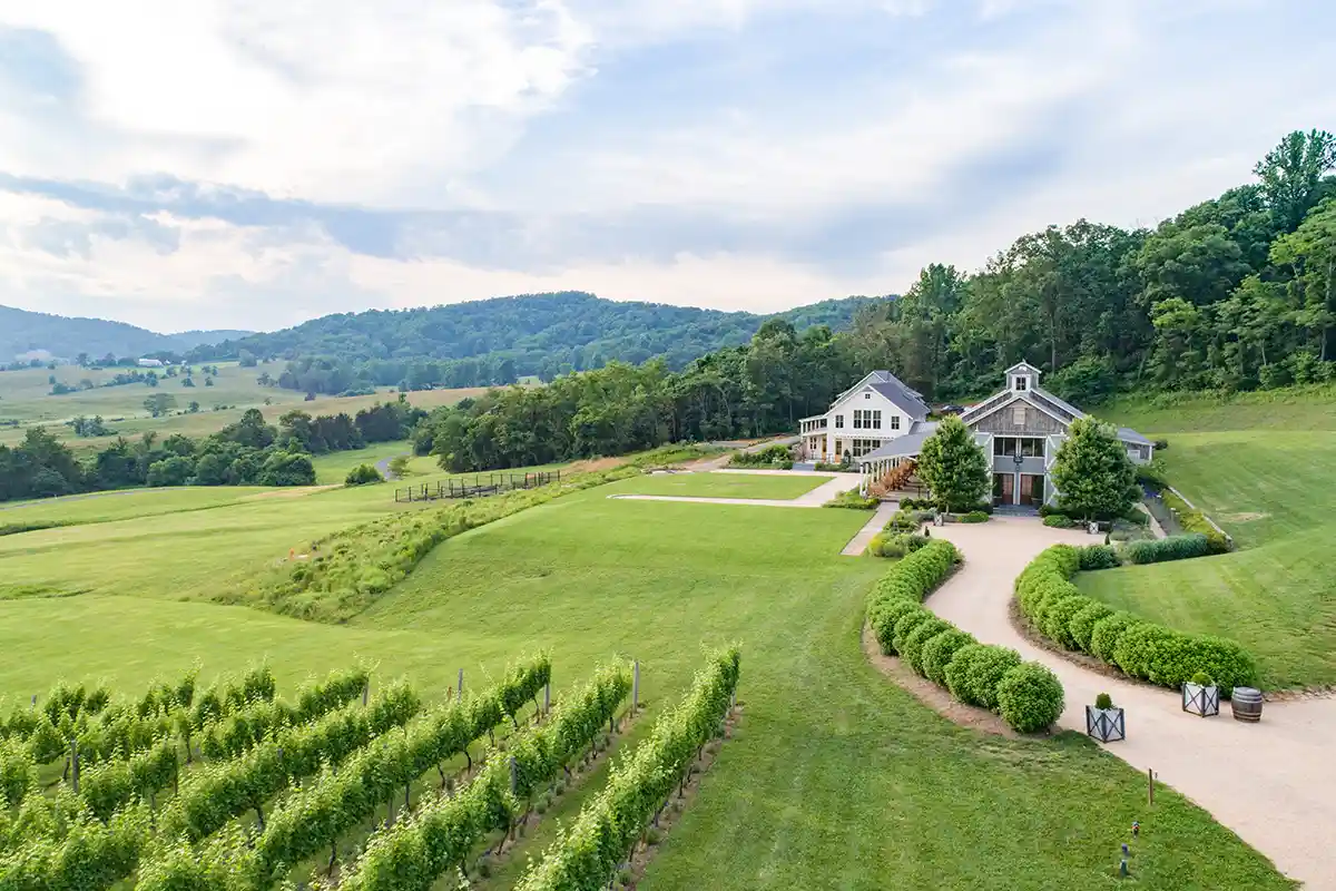 Pippin Hill Farm & Vineyards
