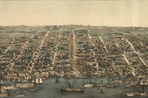 Alexandria illustration