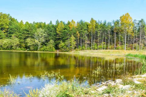 burke lake park